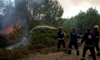 Κομοτηνή: Κάηκαν πάνω από 100 στρέμματα δασικής έκτασης στη Νυμφαία
