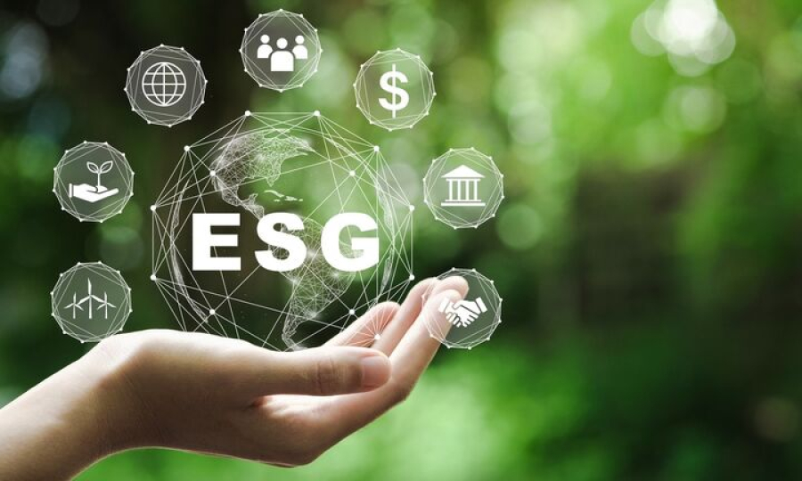 Τράπεζα Πειραιώς: Νέες χρηματοδοτήσεις σε επιλεγμένες ΜμΕ με κριτήρια ESG