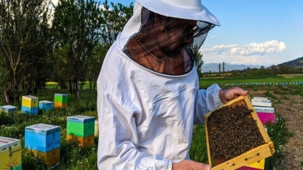 Νέα Γεωργία Νέα Γενιά: Ξεκινά η β’ φάση του προγράμματος βασιλοτροφίας στη Στερεά Ελλάδα