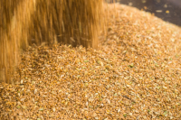 Ουκρανία: Το Κίεβο κατηγορεί τη Ρωσία πως κατέσχεσε 400.000 τόνους σιτηρών