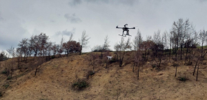Γεωπονικό Πανεπιστήμιο: Πιλοτική τεχνική αναδάσωσης, μέσω drone, για πρώτη φορά στην Ελλάδα