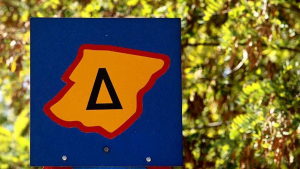 Δακτύλιος: Άνοιξε η πλατφόρμα για τις ψηφιακές άδειες