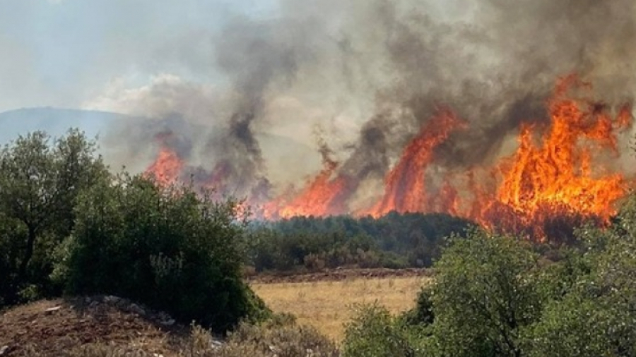 Πυρκαγιά στη Σαλαμίνα: Μήνυμα 112 για απομάκρυνση κατοίκων