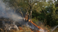 Πυρκαγιά σε χαμηλή βλάστηση στον Ασπρόπυργο