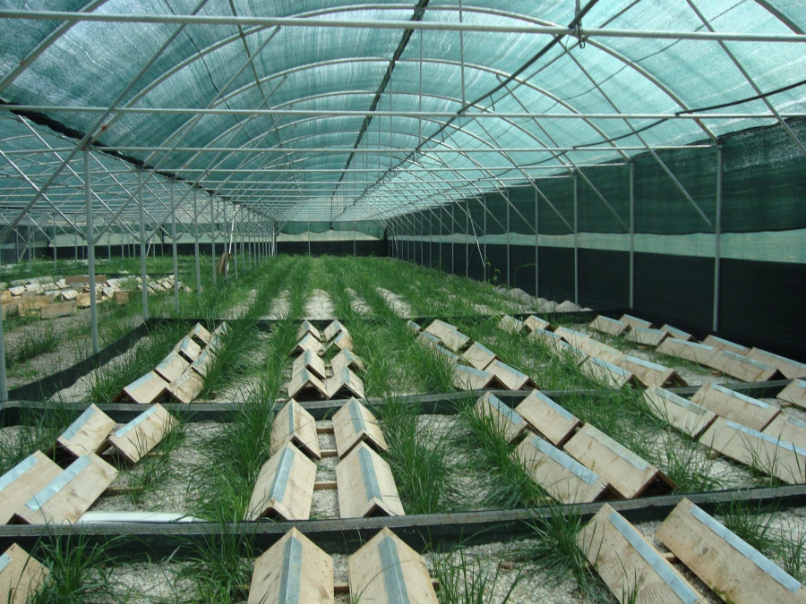 Ενισχύσεις 24,2 εκατ. ευρώ συνυπέγραψαν Σπ. Λιβανός και Θ. Σκυλακάκης