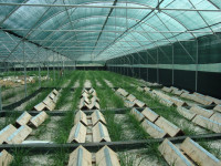 Ενισχύσεις 24,2 εκατ. ευρώ συνυπέγραψαν Σπ. Λιβανός και Θ. Σκυλακάκης