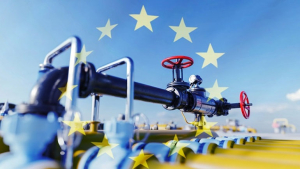 ΕΕ: Πάνω από 20% η μείωση κατανάλωσης φυσικού αερίου μεταξύ Αυγούστου-Νοεμβρίου