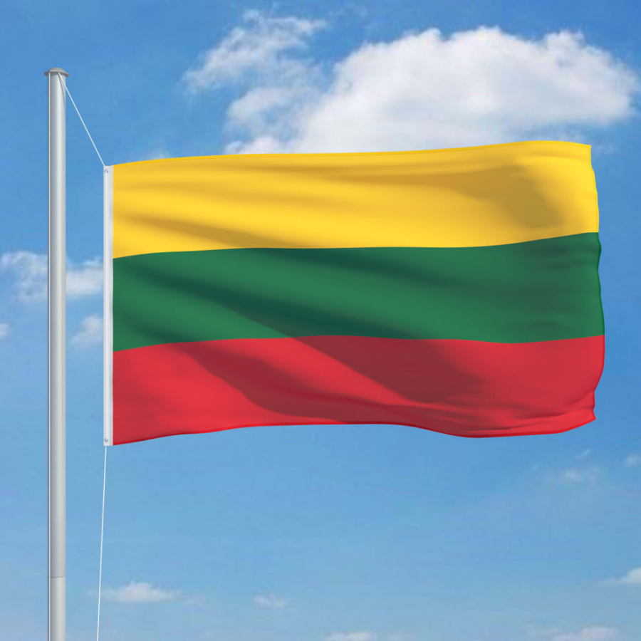 Λιθουανία: Αυξάνει άνω του 2,5% επί του ΑΕΠ τις αμυντικές δαπάνες