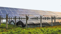 Αγροτικά φωτοβολταϊκά: Επιπλέον πηγή εσόδων για τους παραγωγούς, χωρίς να θυσιάζεται η «γη υψηλής παραγωγικότητας»