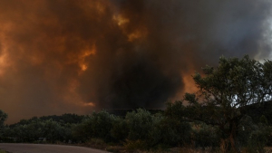 Οι εξελίξεις στα μεγάλα μέτωπα της φωτιάς σε Αλεξανδρούπολη, Εύβοια, Βοιωτία