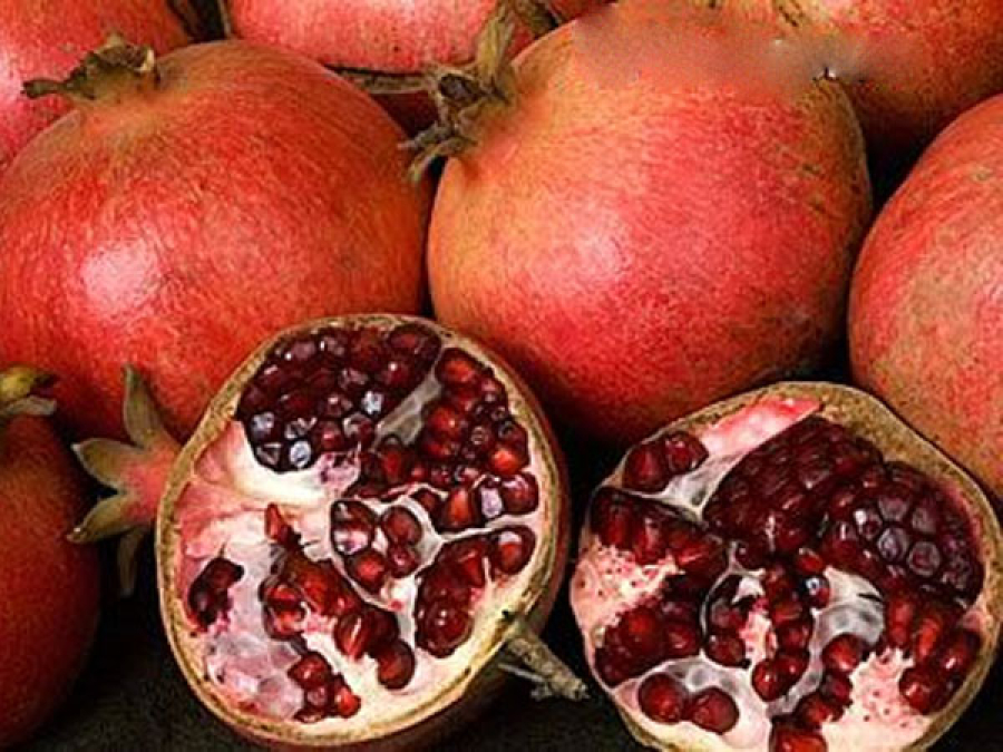 ΕΚΠΟΙΖΩ: Νέα πανελλαδική έρευνα για τα εμπλουτισμένα τρόφιμα με αντιοξειδωτικά