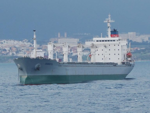 Ουκρανία - σιτηρά: Ολοκληρώθηκε η επιθεώρηση του πλοίου Razoni, θα διαπλεύσει τον Βόσπορο