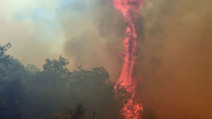 Aναζωπυρώσεις πυρκαγιών στην Ηλεία - Σε κατάσταση έκτακτης ανάγκης τέσσερις δημοτικές ενότητες