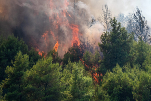 Αλεξανδρούπολη: Οριοθετημένη η πυρκαγιά στην Πυλαία - Ακραίος κίνδυνος πυρκαγιάς σήμερα