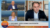 Σαρηγιάννης: Θα φτάσουμε τους 900 διασωληνωμένους την Μεγάλη Εβδομάδα (vid)