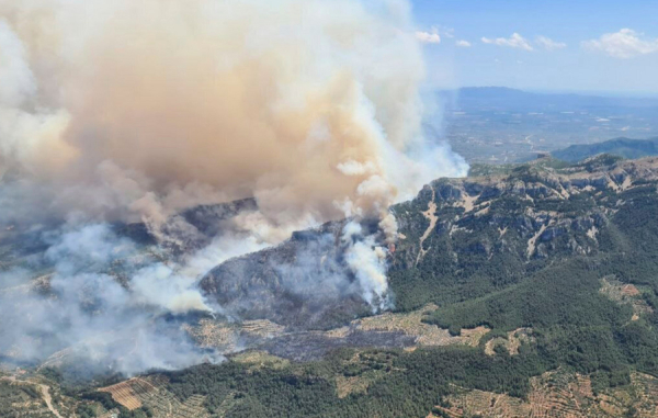Οι εμπρησμοί από αμέλεια στο στόχαστρο της ΔΑΕΕ για την αντιπυρική περίοδο 2026