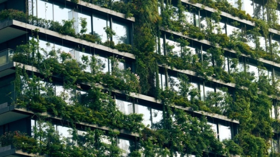 Lamda Development: Βιοκλιματικός σχεδιασμός ενάντια στην κλιματική κρίση