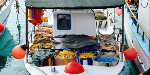 Αλιεία: Νέα ψηφιακή εφαρμογή για άμεση ενημέρωση σχετικά με τις τοπικές απαγορεύσεις