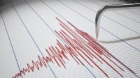 Σεισμός 3,1 Ρίχτερ στη Θήβα