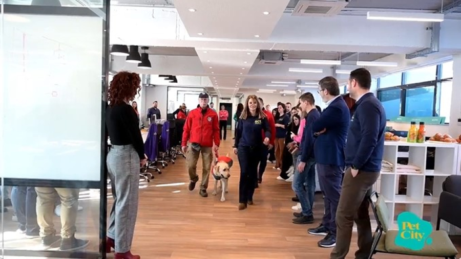 Pet City: Ένας ξαφνικός επισκέπτης στα γραφεία της εταιρείας