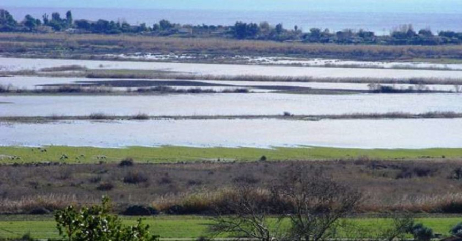 Πύργος: Ξεκίνησαν οι διαδικασίες για μερικό επαναπλημμυρισμό της λίμνης Μουριάς