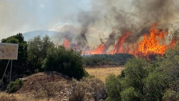 Σε ύφεση η πυρκαγιά στον Φενεό Κορινθίας - Δύο συλλήψεις