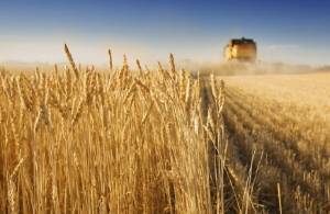 Ουκρανία: Αρχίζει σε μια εβδομάδα ο διάλογος για παράταση της συμφωνίας για τα σιτηρά