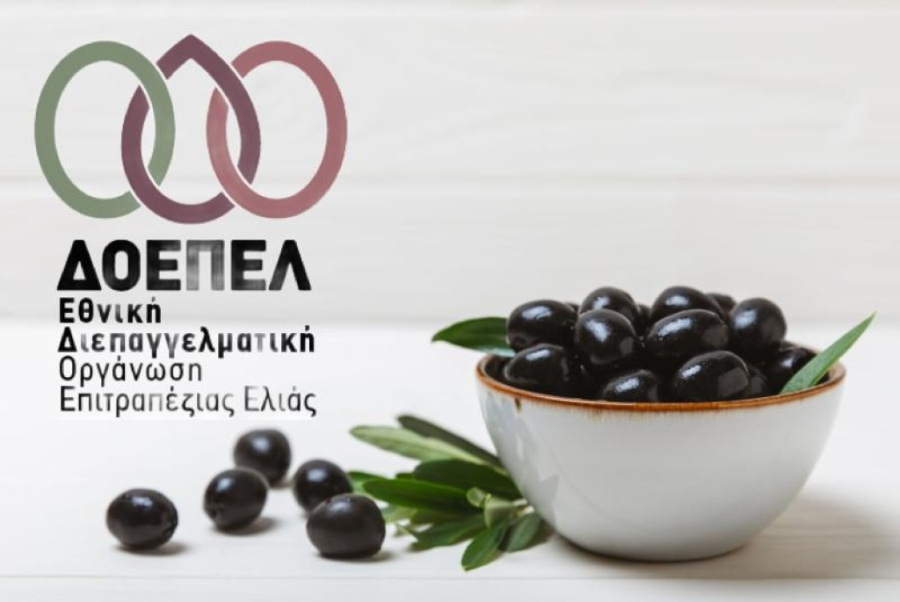 ΔΟΕΠΕΛ: Η παραγωγή επιτραπέζιας ελιάς αναμένεται να καλύψει τις ανάγκες της χώρας την περίοδο 2026-2027