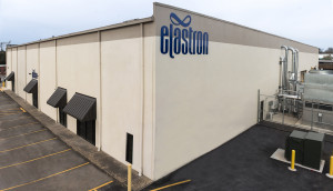 ΕΛΑΣΤΡΟΝ: Αυξημένα τα EBITDA TO 2020