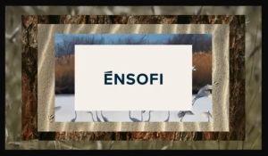 ĒNSOFI Α.Ε.: Νέο εταιρικό σχήμα – Μετασχηματισμός της ΤΕΜΕΣ Α.Ε.