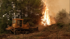 Εύβοια: Συνεχίζουν οι φλόγες να κυκλώνουν τα χωριά - Μήνυμα του 112 για εκκένωση της Αβγαριάς
