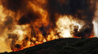 ΗΠΑ: Ο κυβερνήτης της Μινεσότα κινητοποιεί την Εθνοφρουρά λόγω των μεγάλων δασικών πυρκαγιών
