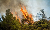 Μαγνησία: Μήνυμα 112 για εκκένωση οικισμών λόγω φωτιάς