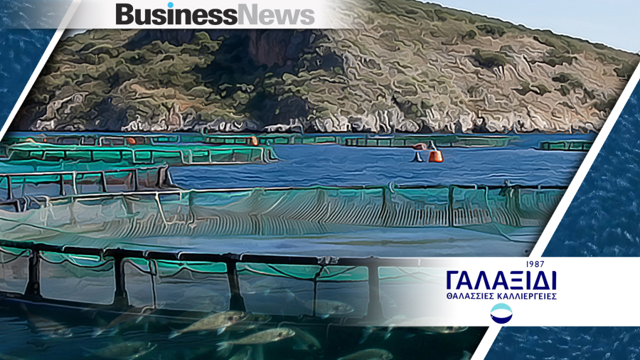 Γαλαξίδι Θαλάσσιες Καλλιέργειες: «Πλεύση» σε ιστορικά υψηλά με πωλήσεις 110 εκατ. ευρώ και ενίσχυση κερδοφορίας