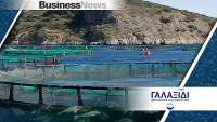 Γαλαξίδι Θαλάσσιες Καλλιέργειες: «Πλεύση» σε ιστορικά υψηλά με πωλήσεις 110 εκατ. ευρώ και ενίσχυση κερδοφορίας