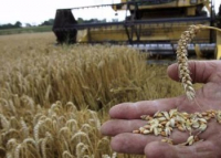 Επισιτιστική κρίση: Πρωτοβουλία των ΗΠΑ για παγκόσμια αντίδραση