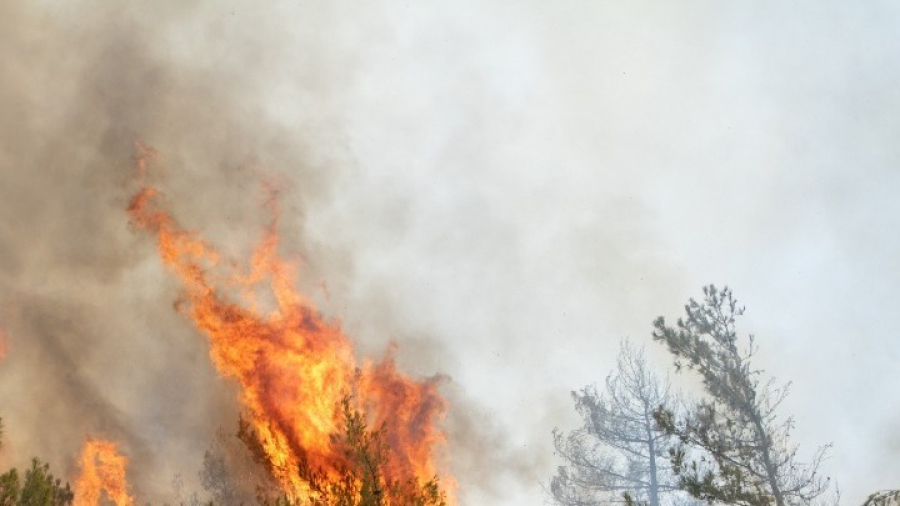 Πυρκαγιά σε δασική έκταση στο Λασίθι - Μήνυμα 112 για απομάκρυνση των κατοίκων