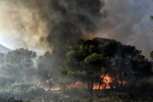 Εκκενώνεται ο οικισμός Κανδήλι κοντά στα Μέγαρα