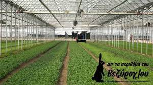 Φάρμα Βεζύρογλου: Ετοιμάζει νέα επένδυση
