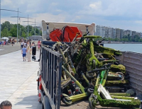 Πατίνια στο βυθό