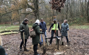 Υπερβολικά υψηλός ο ρυθμός αποψίλωσης των δασών, σύμφωνα με τον FAO