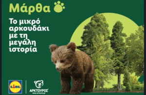 Lidl Ελλάς και ΑΡΚΤΟΥΡΟΣ: Στήριξαν την επιτυχή επανένταξη της Μάρθας στη φύση