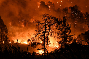 Πολύ υψηλός κίνδυνος πυρκαγιάς για τις 20 Αυγούστου - Ποιες περιοχές αφορά
