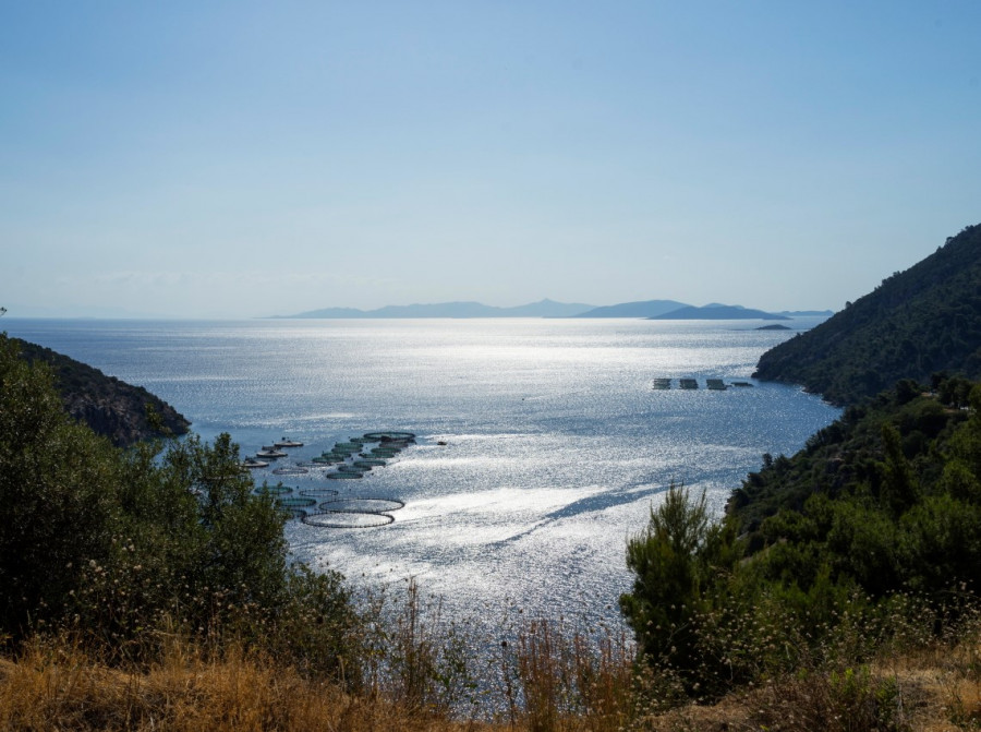 ΕΛΟΠΥ: Πραγματοποιήθηκε η 13η Γενική Συνέλευση