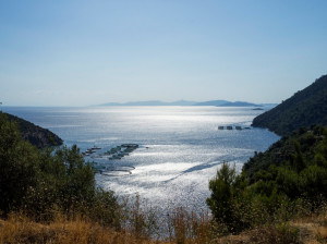 ΕΛΟΠΥ: Πραγματοποιήθηκε η 13η Γενική Συνέλευση