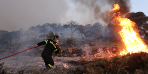 Υπό έλεγχο η πυρκαγιά σε χαμηλή βλάστηση στην Παλλήνη Αττικής