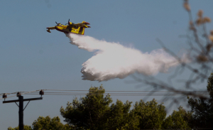 Φωτιά στη Βαρυμπόμπη: Μήνυμα του 112 για όσους βρίσκονται στο Κρυονέρι να κλείσουν παράθυρα και πόρτες