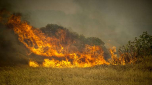 Πυρκαγιά στο Βελεστίνο: Καίγονται σπίτια στον Άγιο Γεώργιο Φερών - Μήνυμα 112 για εκκένωση