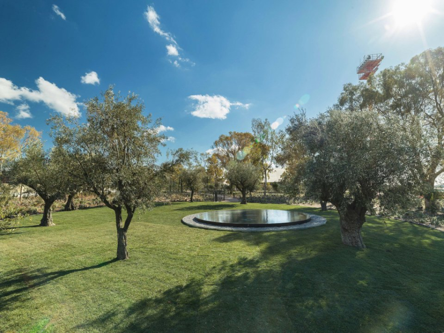 Ελληνικό: Σε πλήρη εξέλιξη οι μεταφυτεύσεις δέντρων