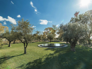 Ελληνικό: Σε πλήρη εξέλιξη οι μεταφυτεύσεις δέντρων